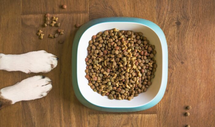 Finde das optimale Hundefutter für deinen Vierbeiner.