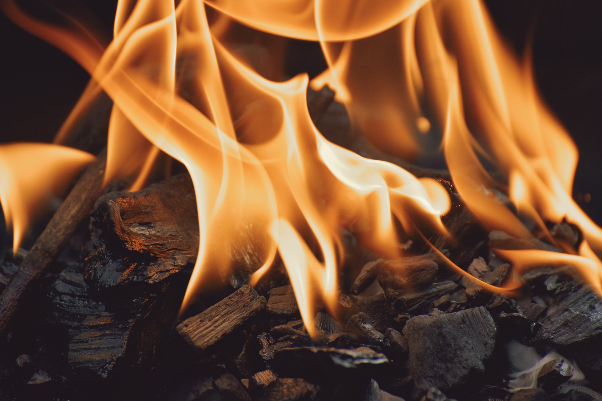 Smoker und Grill im Test